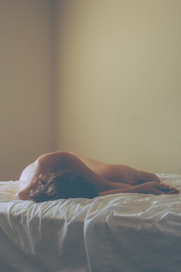 The Bedroom Artistic Nude Photo by Photographer luisaguirre