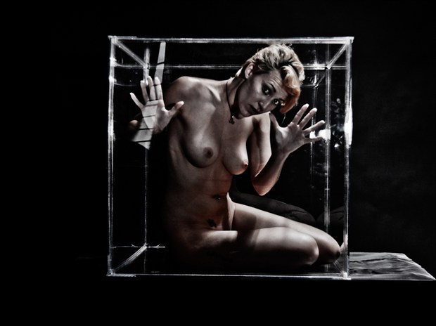 The Box 1 Artistic Nude Photo by Photographer APB Photo Studio