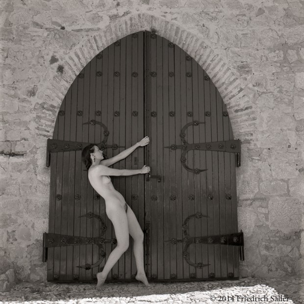 The Challenge Artistic Nude Photo by Photographer Friedrich Saller