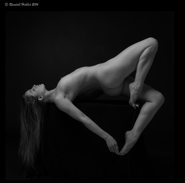 The Conspectus of Curvilinearity Artistic Nude Photo by Photographer Randall Hobbet