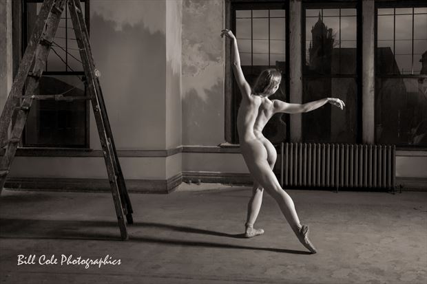 The Dancer Artistic Nude Photo by Photographer billcole
