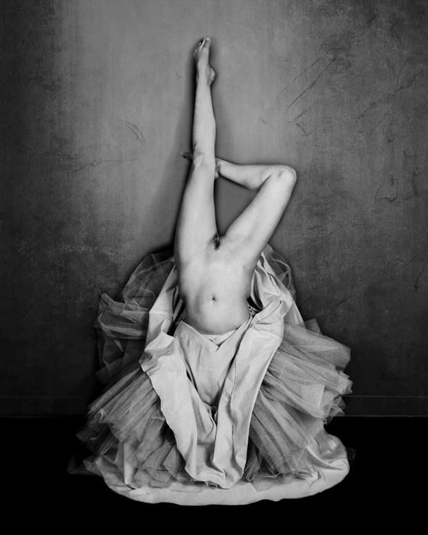 The Dress   Annie Artistic Nude Photo by Photographer wmzuback