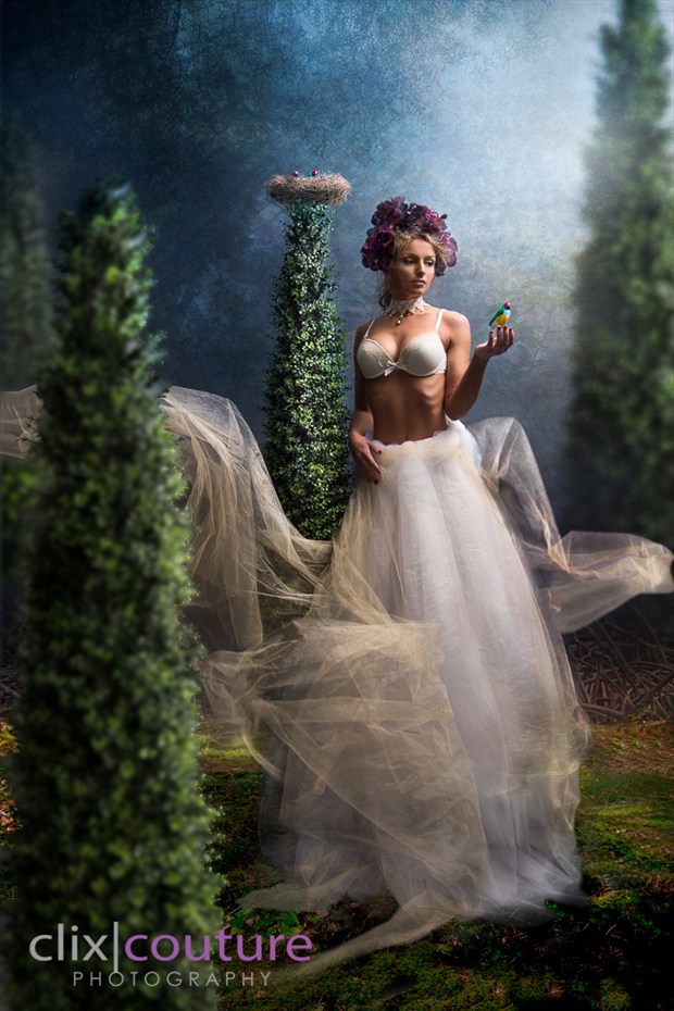 The Enchanted Forest Lingerie Artwork by Photographer clixcouture
