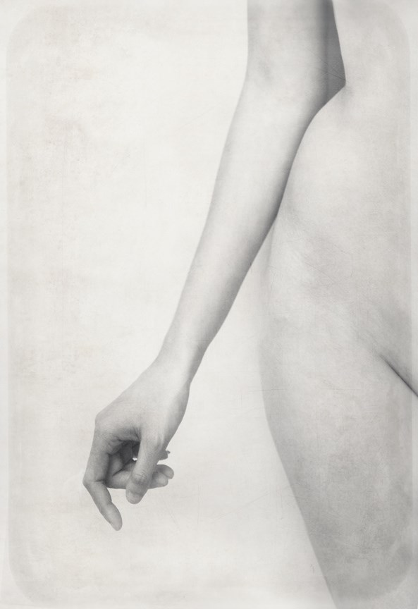 The Feminine  Artistic Nude Photo by Photographer Tmon13