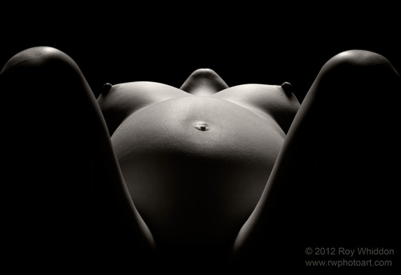 The Fertile Landscape Artistic Nude Photo by Photographer Roy Whiddon