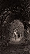 The Garden Artistic Nude Artwork by Model Rosa Brighid