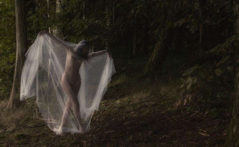 The Glade Artistic Nude Photo by Photographer Visulante