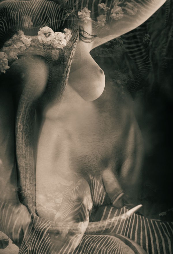 The Hermaphrodite Artistic Nude Photo by Photographer jeffrey m fletcher