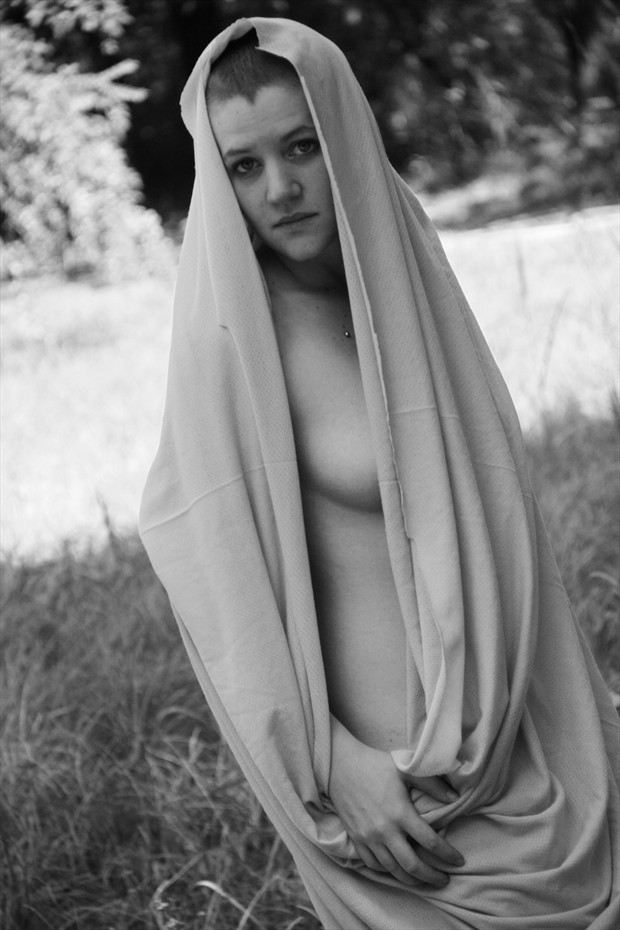 The Hooded Joan Nature Photo by Photographer Leland Ray