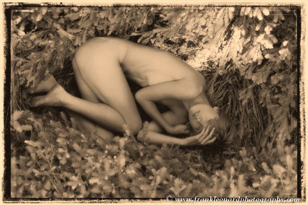 The Nest Artistic Nude Photo by Photographer Frank Leonard