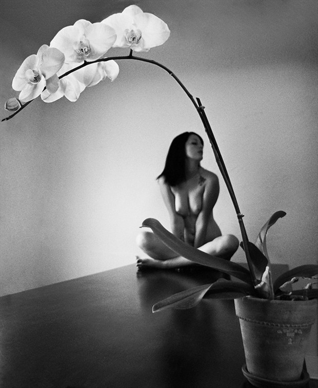 The Orchids Artistic Nude Photo by Photographer Vahid Naziri