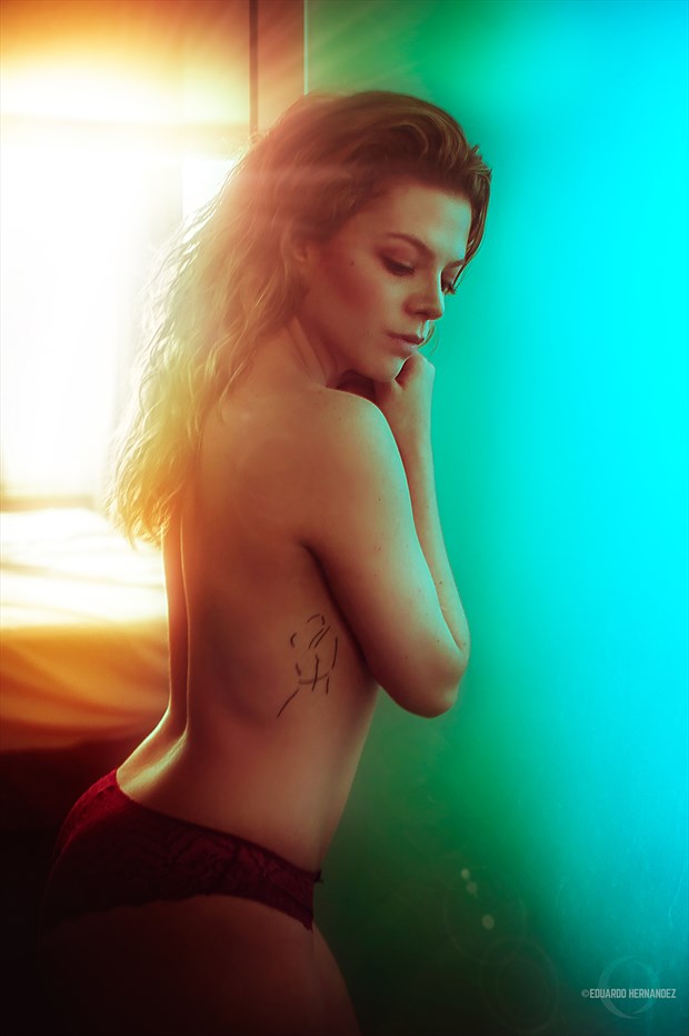 The Sense of Beauty series: Lorena. Artistic Nude Artwork by Photographer hdzphoto