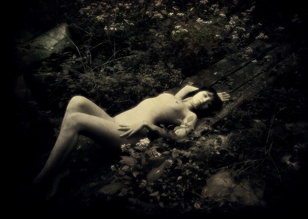 The Skull Artistic Nude Photo by Photographer MephistoArt