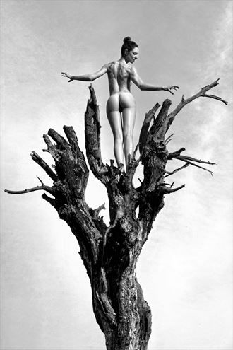 The Tree Artistic Nude Photo by Photographer Roberto Manetta