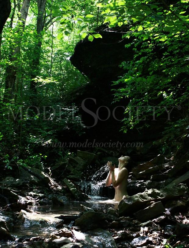The Wood Nymph's bathe Nature Photo by Photographer R. Scott Anderson