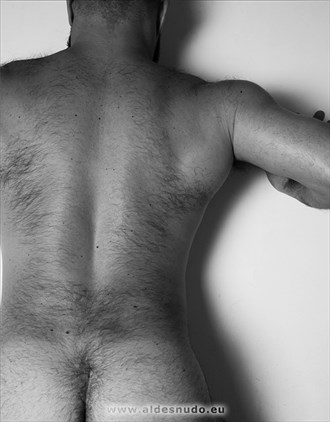 The back  Artistic Nude Photo by Photographer Aldesnudo