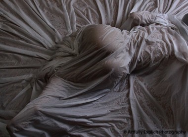 The cloth Artistic Nude Photo by Photographer photographic artist