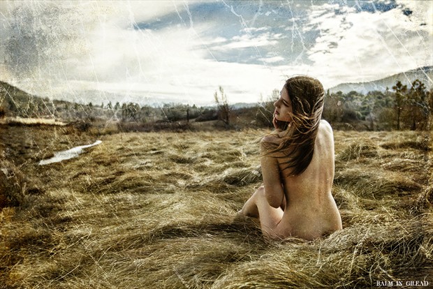 The cobwebs of my mind Artistic Nude Photo by Photographer balm in Gilead