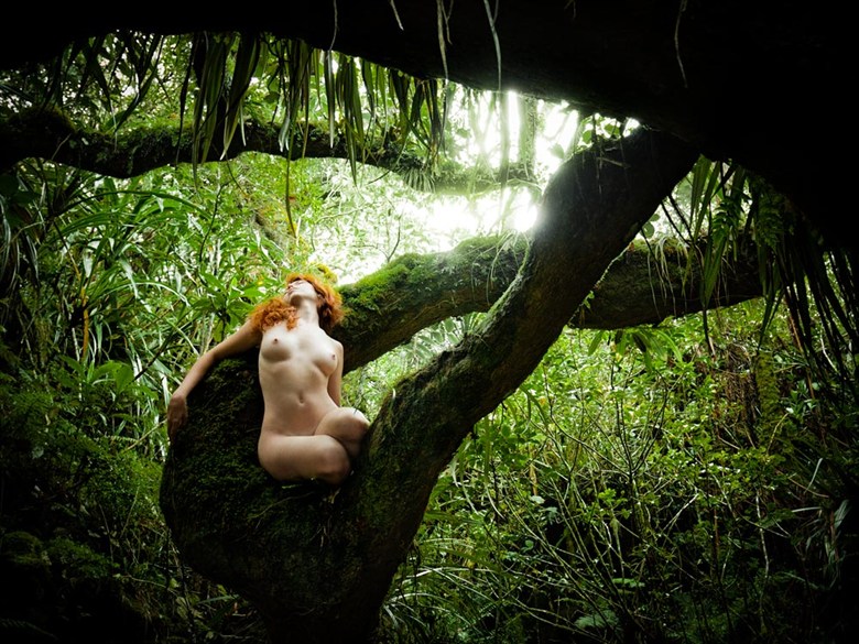 The dream of the Pachamama Artistic Nude Photo by Photographer Diane Rainard