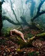 The offering Artistic Nude Photo by Photographer Diane Rainard