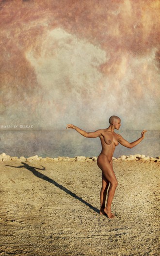 The shadows of who we are Artistic Nude Photo by Photographer balm in Gilead