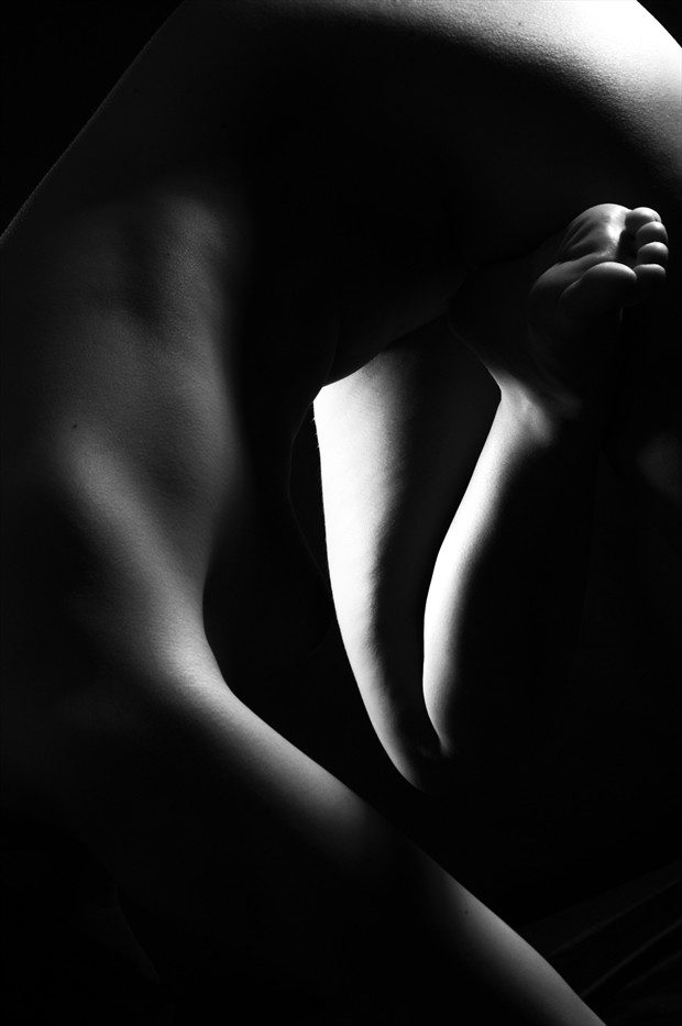 The shape of shapes Artistic Nude Photo by Photographer pyriel