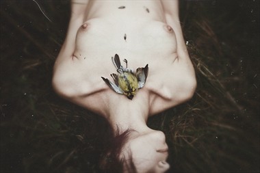 The silence comes suddenly Artistic Nude Photo by Photographer Natalia Drepina