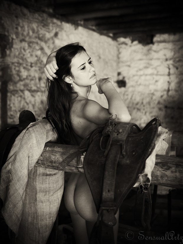 The stables Artistic Nude Photo by Photographer Sensual Artz