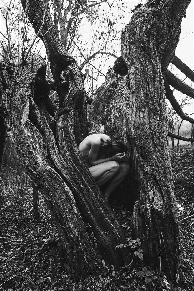 The tree Artistic Nude Photo by Photographer sk.photo
