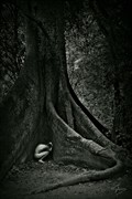 The tree of life Artistic Nude Photo by Photographer Filipp Keks