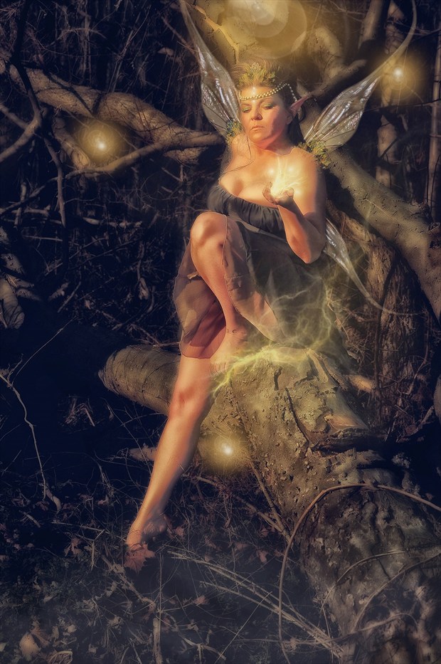 The water fae  Nature Artwork by Photographer tytanifairy