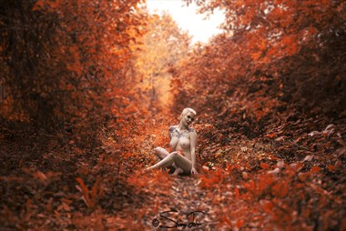 The way to the woods Artistic Nude Photo by Photographer shinu john