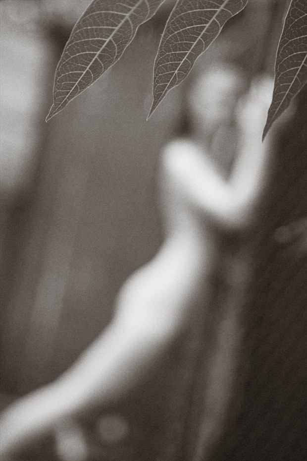 Three Leaves Artistic Nude Photo by Photographer Openshaw Photo