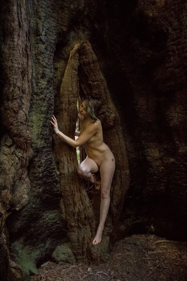 Through The Rebirth Portal Artistic Nude Photo by Model Ember No%C3%ABlle