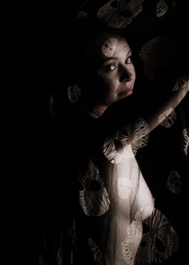 Through the veil Artistic Nude Photo by Photographer tlmerklin