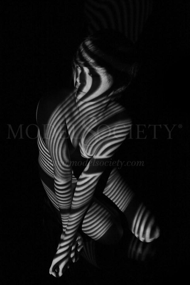 Tiger's stripe Surreal Photo by Photographer R. Scott Anderson