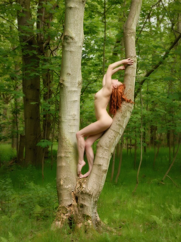 Tiger in the Woods Artistic Nude Photo by Photographer Rascallyfox