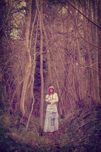 Titania in Mourning Nature Photo by Photographer Whiteraven Photography