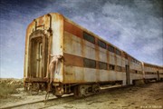 To catch a train Nature Photo by Photographer balm in Gilead