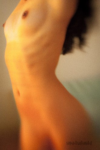 Torso Artistic Nude Artwork by Photographer Stu Halu