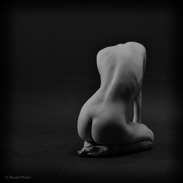 Torso Artistic Nude Photo by Photographer Randall Hobbet