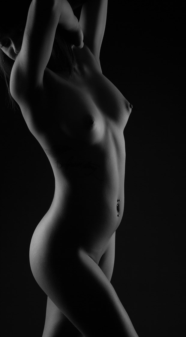 Torso I Artistic Nude Photo by Photographer Allan Taylor