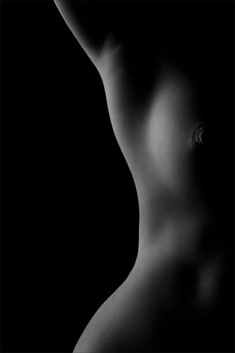 Torso II Artistic Nude Photo by Photographer Label On The Left