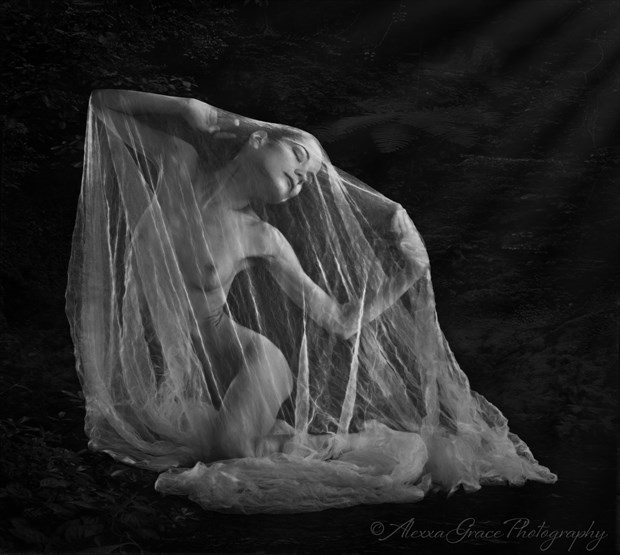 Transformation Artistic Nude Photo by Photographer AlexxaGrace