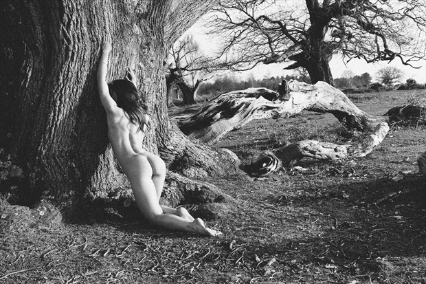 Tree Artistic Nude Photo by Photographer DJR Images