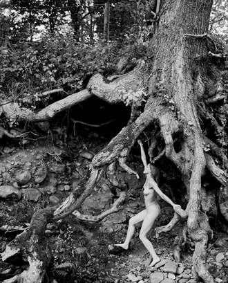 Tree Artistic Nude Photo by Photographer John Keedwell