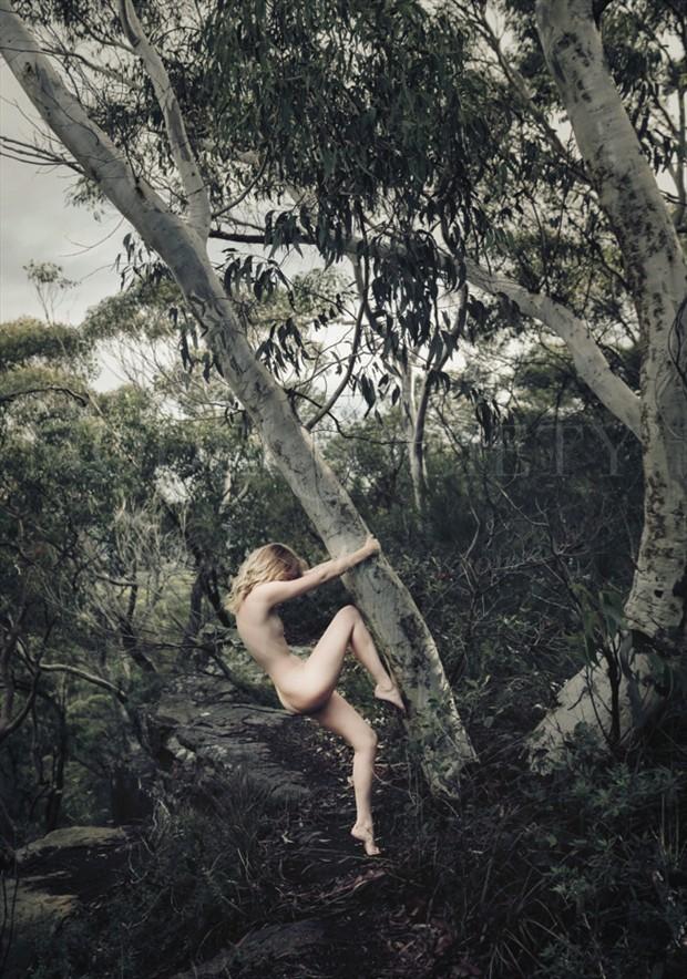 Tree Hugger Artistic Nude Photo by Model Sylph Sia