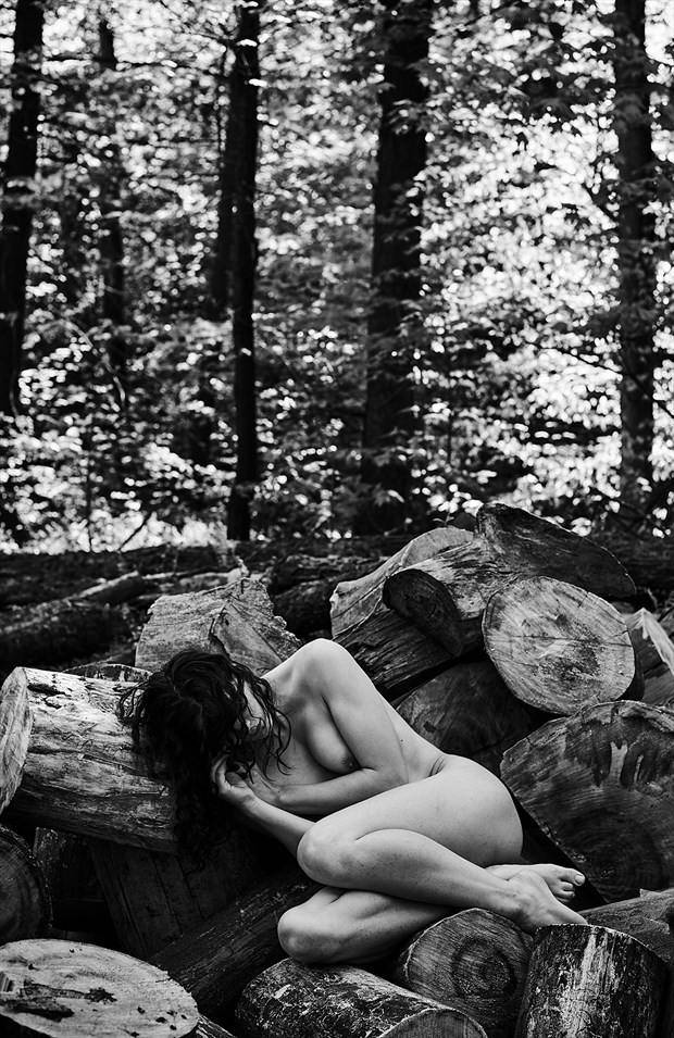 Tree Rings Artistic Nude Photo by Model Daisy Von