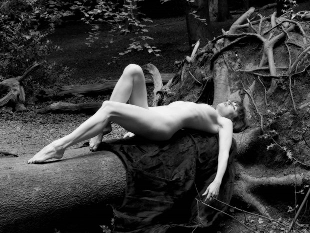 Tree Spirit 1 Artistic Nude Photo by Photographer Nomad