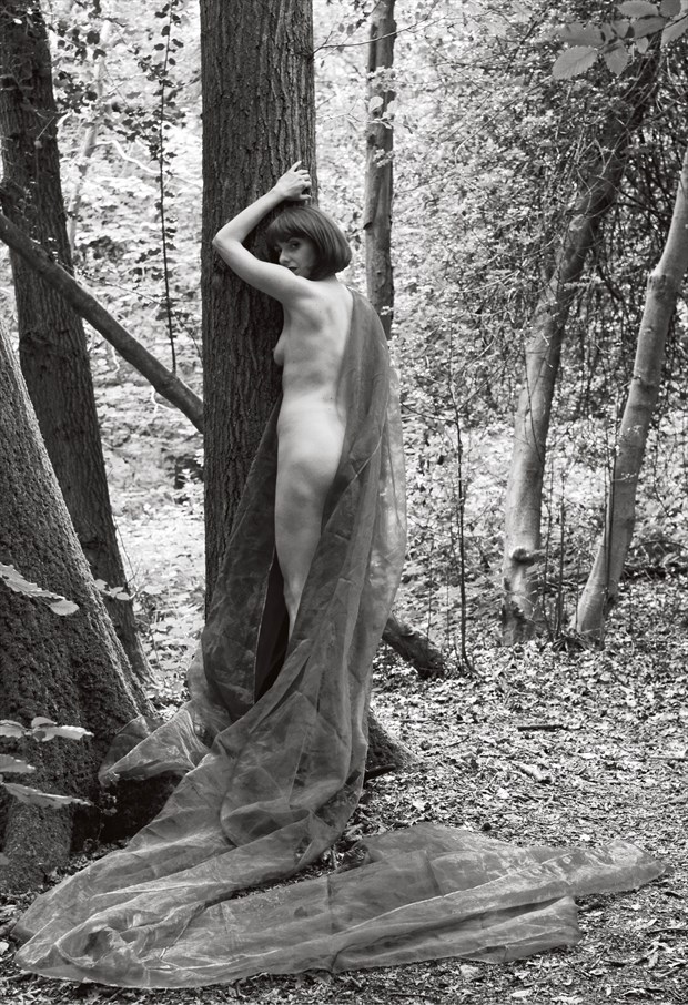 Tree Spirit 2 Artistic Nude Photo by Photographer Nomad
